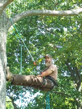 Projects completed by Burman Land and Tree Company | Orrington Maine | Tree Assessment and Consultation, Dutch Elm Disease Specialist and Vegetation Management.