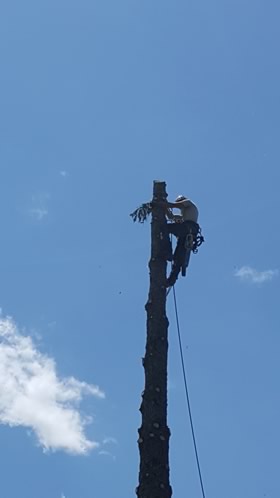 Projects completed by Burman Land and Tree Company | Orrington Maine | Tree Assessment and Consultation, Dutch Elm Disease Specialist and Vegetation Management.